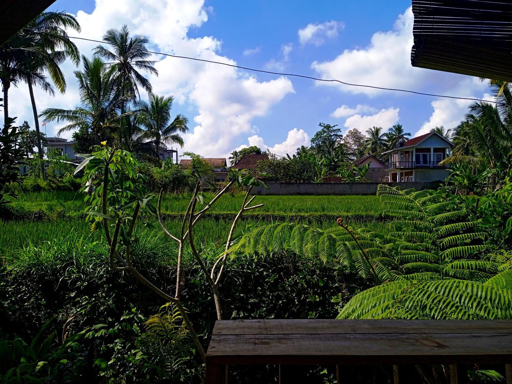 Citra Homestay テテバトゥ エクステリア 写真