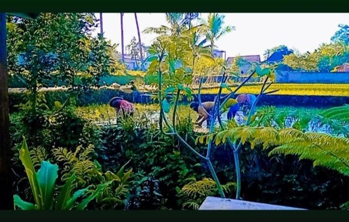 Citra Homestay テテバトゥ エクステリア 写真