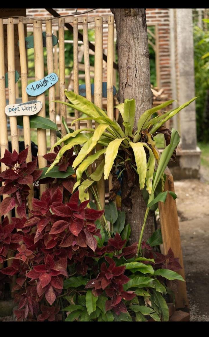 Citra Homestay テテバトゥ エクステリア 写真