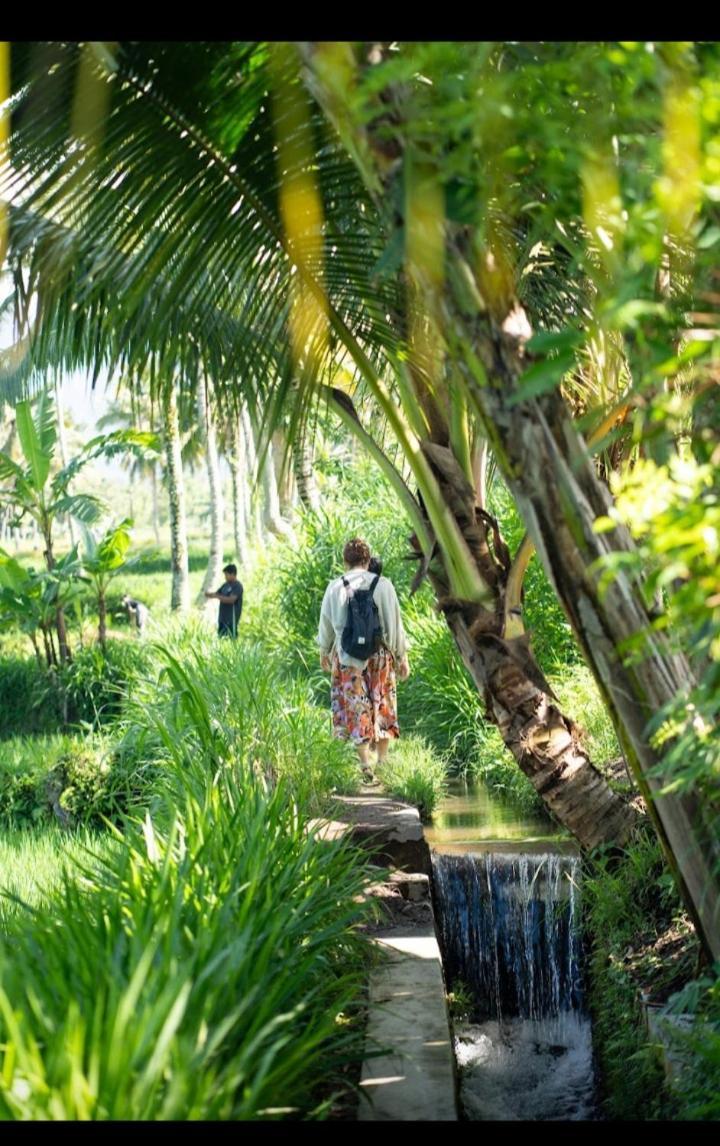 Citra Homestay テテバトゥ エクステリア 写真