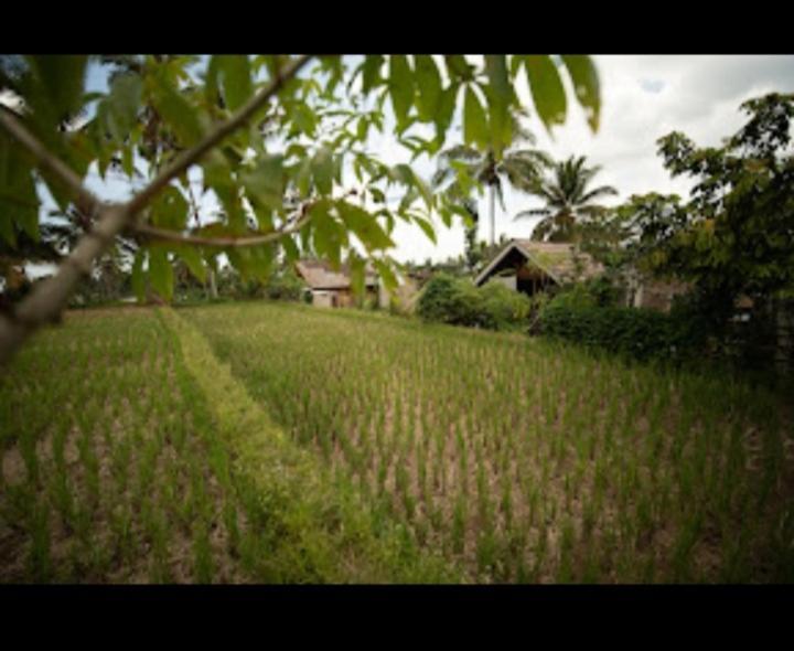 Citra Homestay テテバトゥ エクステリア 写真