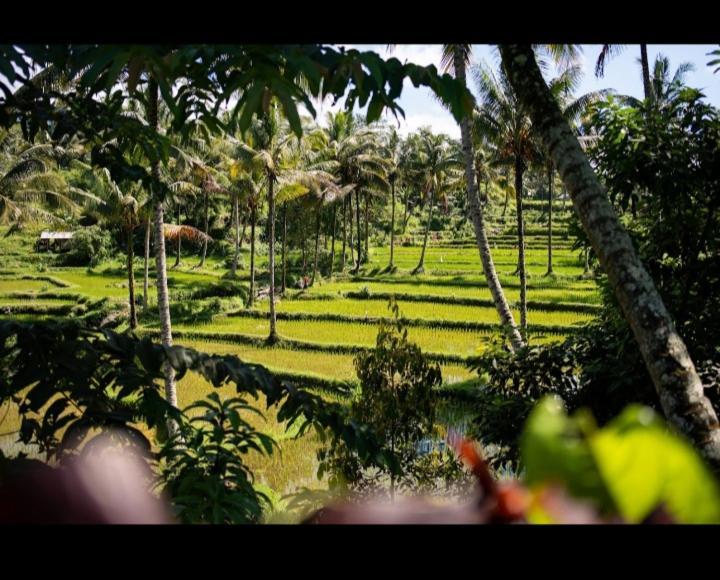 Citra Homestay テテバトゥ エクステリア 写真