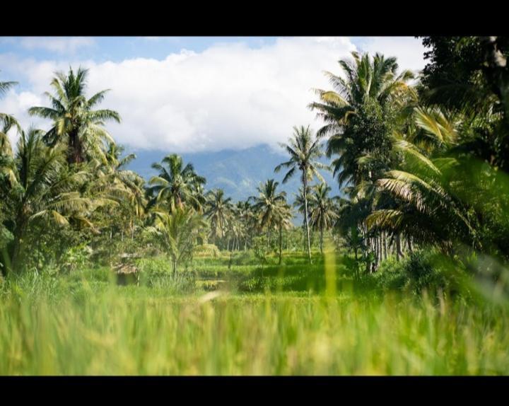 Citra Homestay テテバトゥ エクステリア 写真